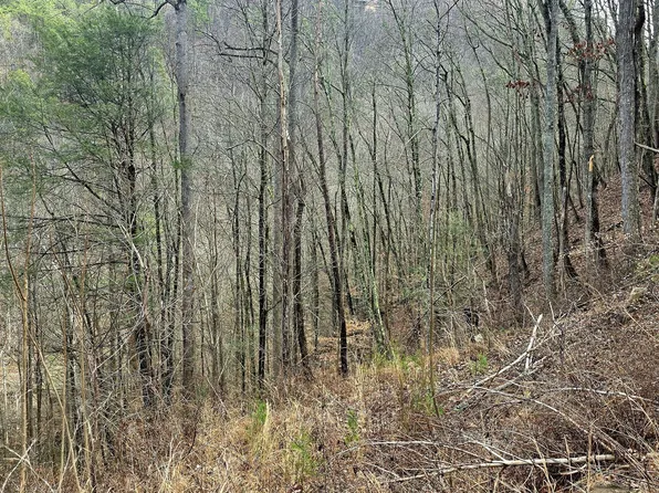 3278 Emerald Springs Loop, Sevierville, TN 37862