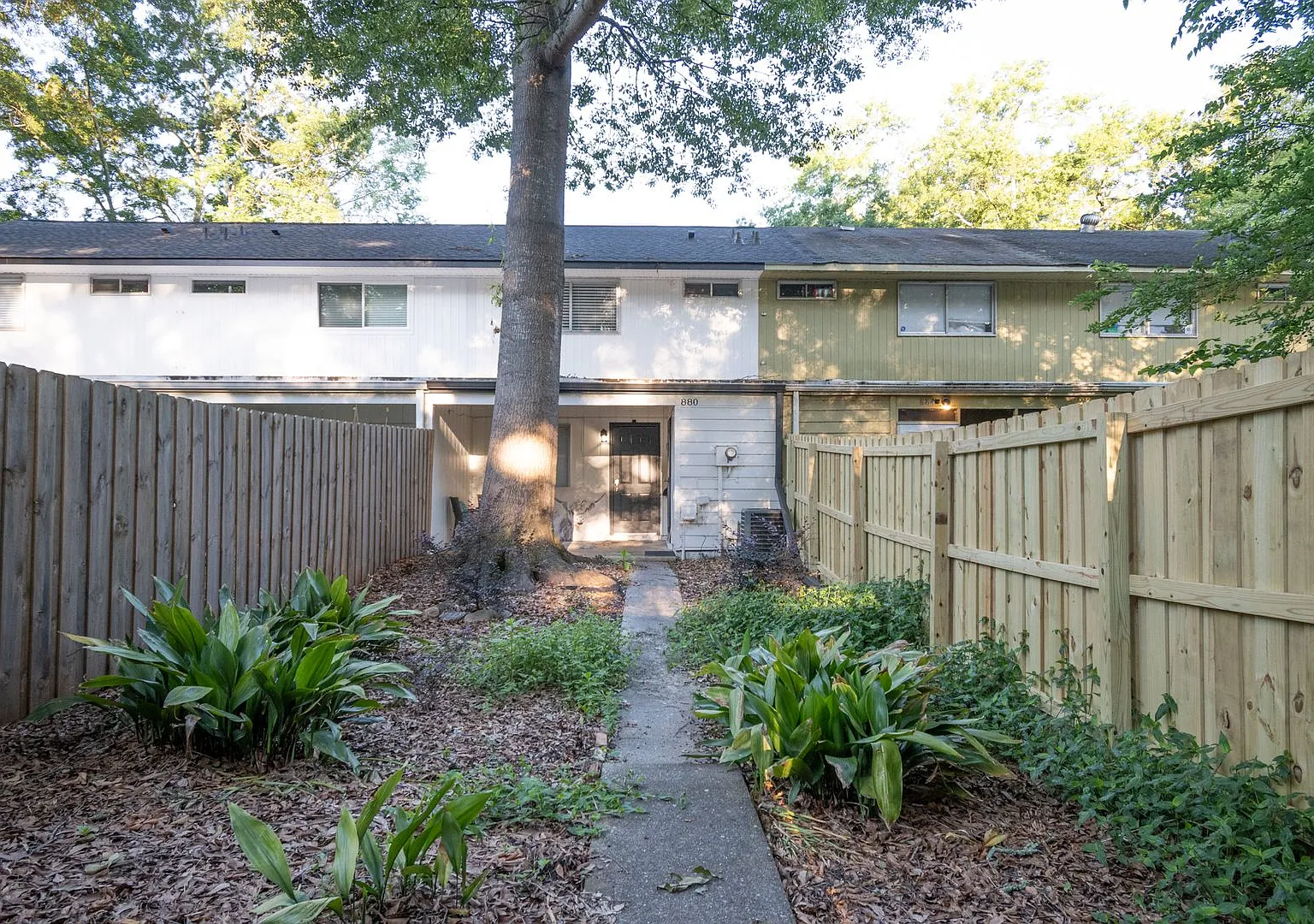 880 College Ave - Available January 2027! — Photo 2