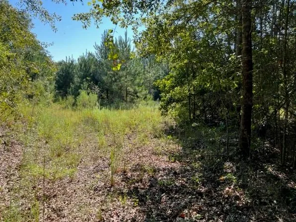 30 Union Grove Rd, Opp, AL 36467