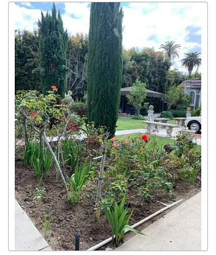 532 S Irving Blvd #1 Photo 1