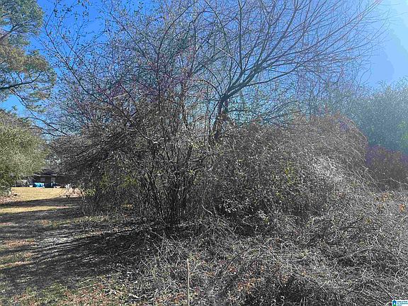 4th image of 1288 & 1290 Hueytown Rd #10-11-19