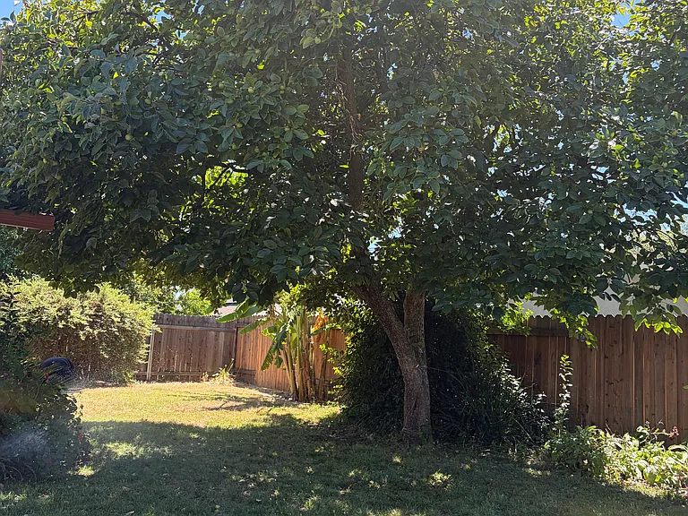 Quincy Dr — Photo 4