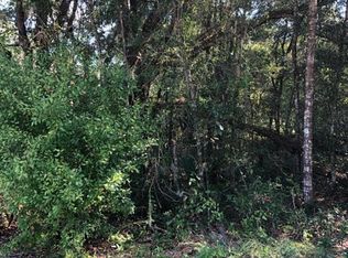 113 S Rooks Ave, Inverness, FL 34453