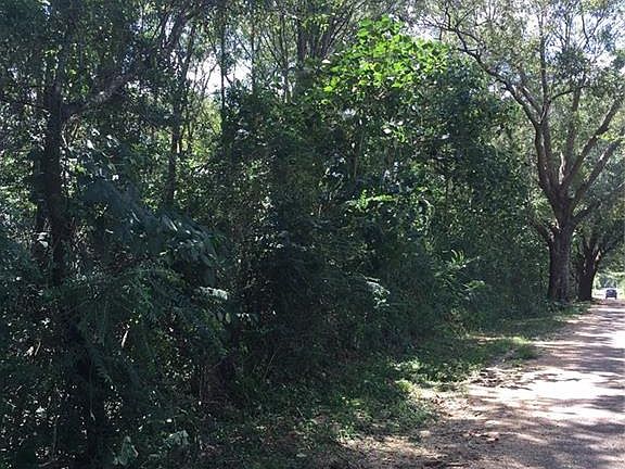 5th image of Archie Wallace Rd