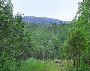 2nd image of Deer View Place Lot 2