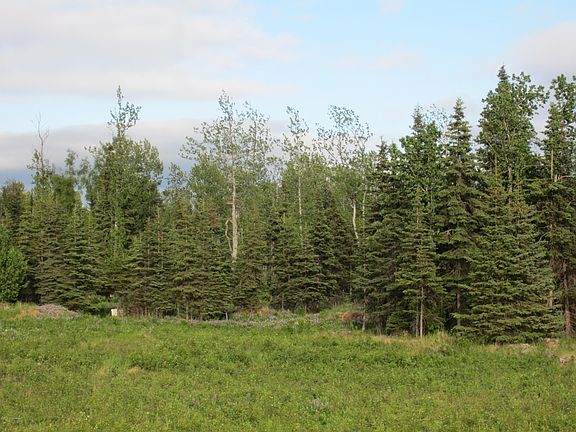 5th image of 15573 Wild Salmon Way