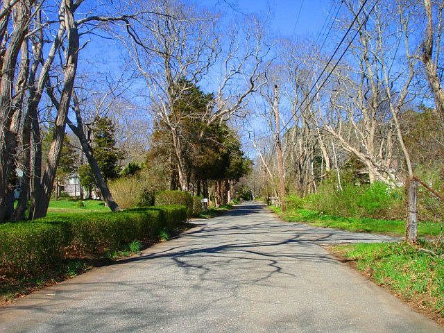 Street scene