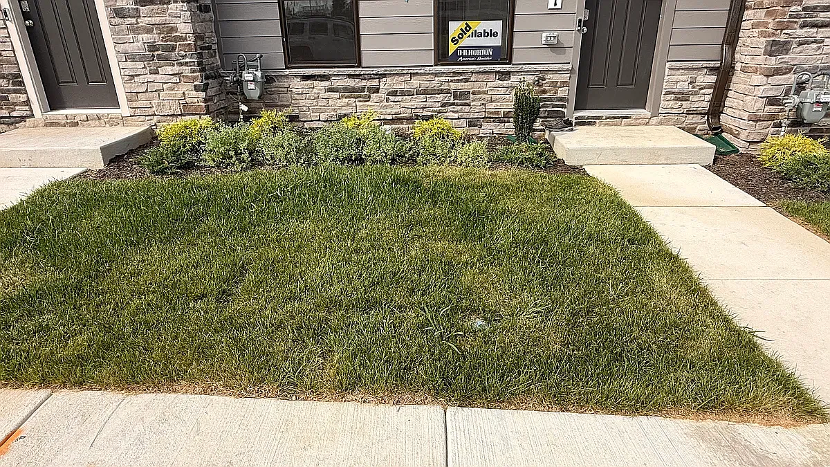 4 bed, 3.5 bath, 1962 sqft, $2,950 — Photo 3