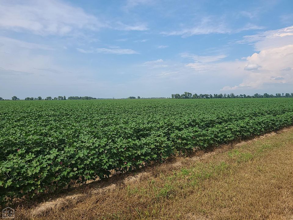 2nd image of 1111 Arkansas #139