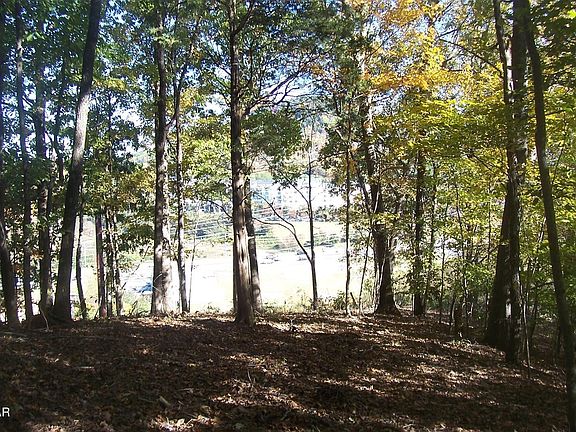 5th image of 4 Jake Thomas Rd Lot 4B-R