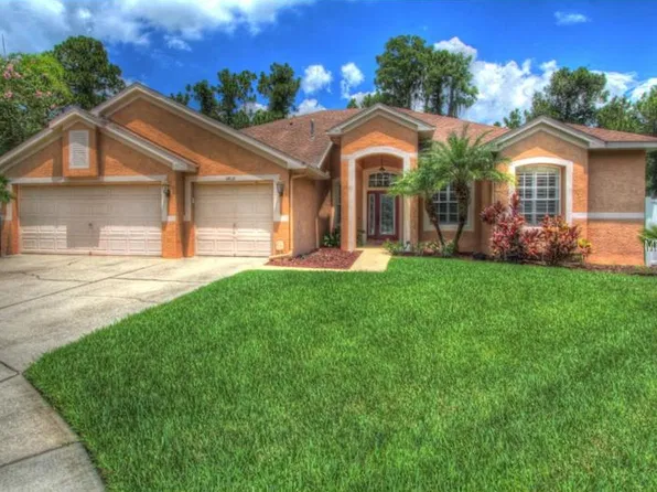 14618 Fetterbush Way, Odessa, FL 33556