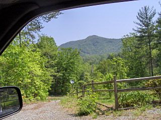 1st image of Ribbon Ln
