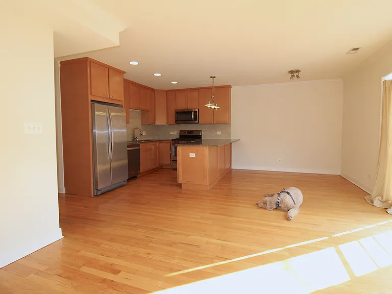 917 N Ashland Ave #2 — Photo 5