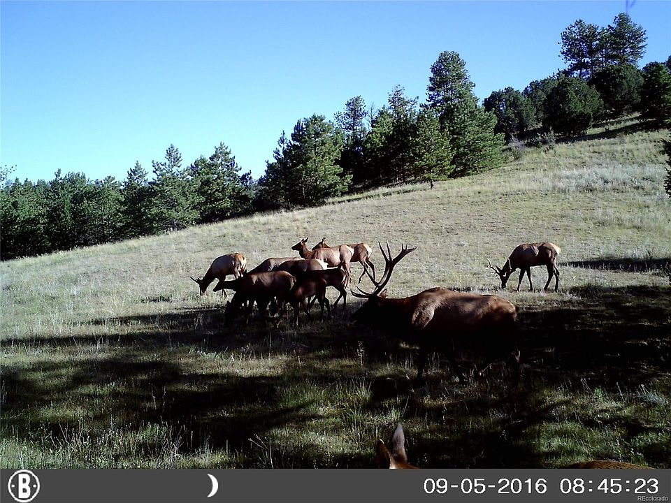 1st image of 2789 Lakemoor Dr