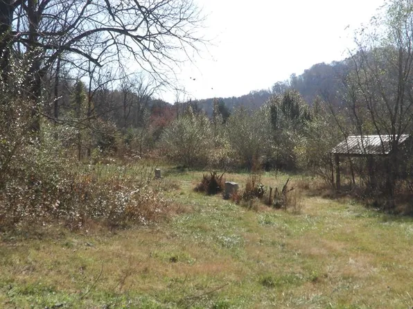 3509 Wet Mill Creek Rd, Celina, TN 38551