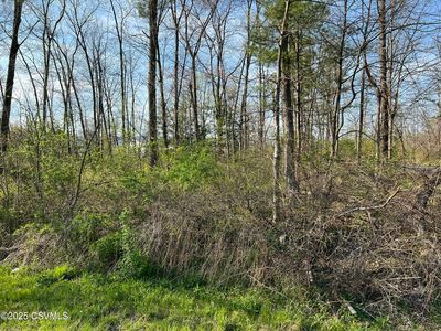 60 Foster J Smith Rd, Lewisburg, PA, 17837