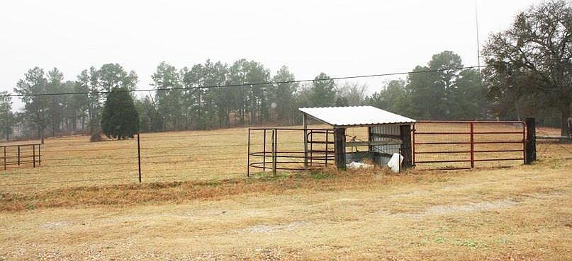 2nd image of 8043 State Highway 19 N