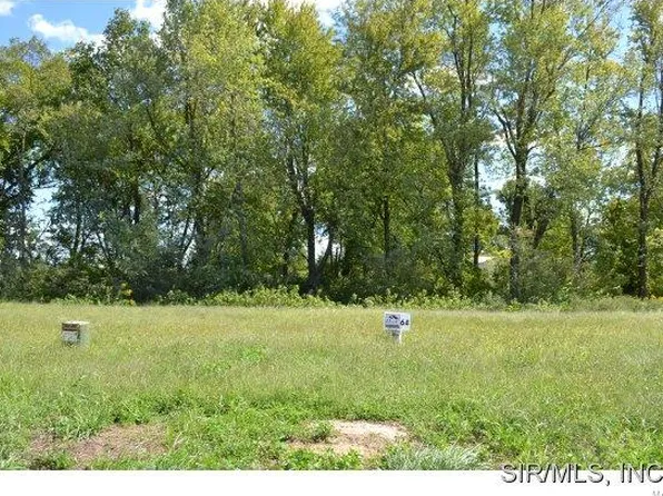 4656 Chestnut Ridge Way, Smithton, IL 62285