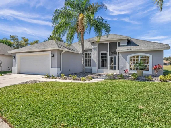 3201 Fox Squirrel Ln, Valrico, FL 33596