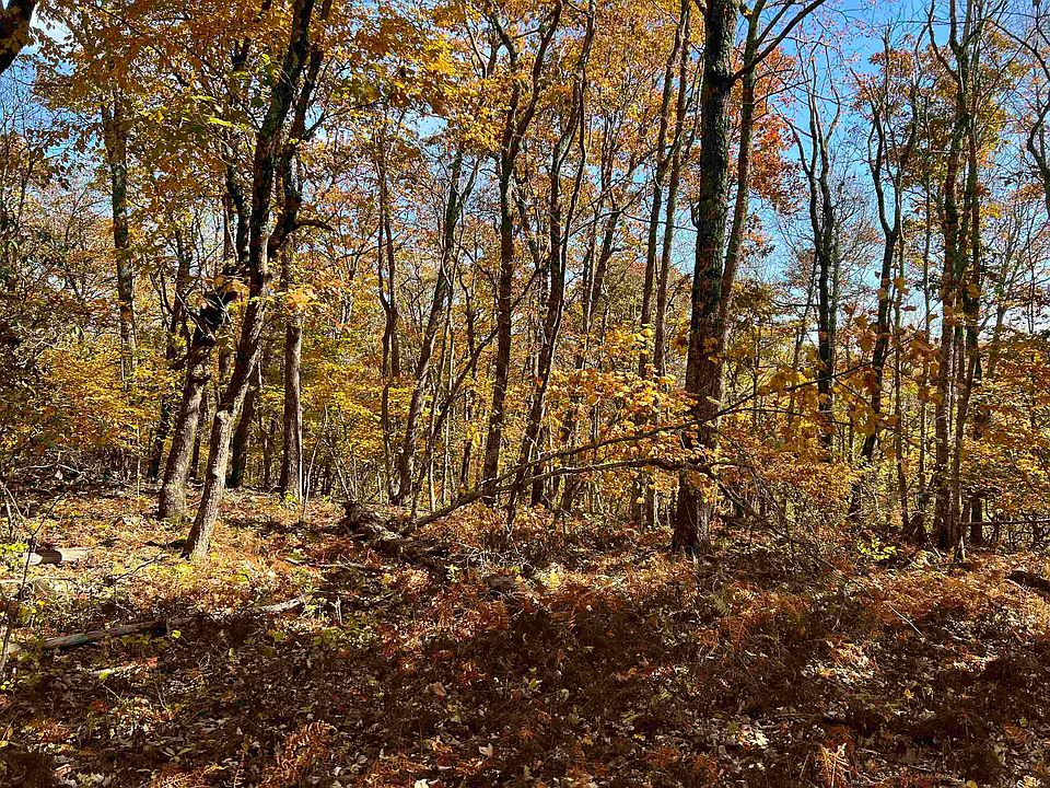 2nd image of 1448 Sounding Knob Rd