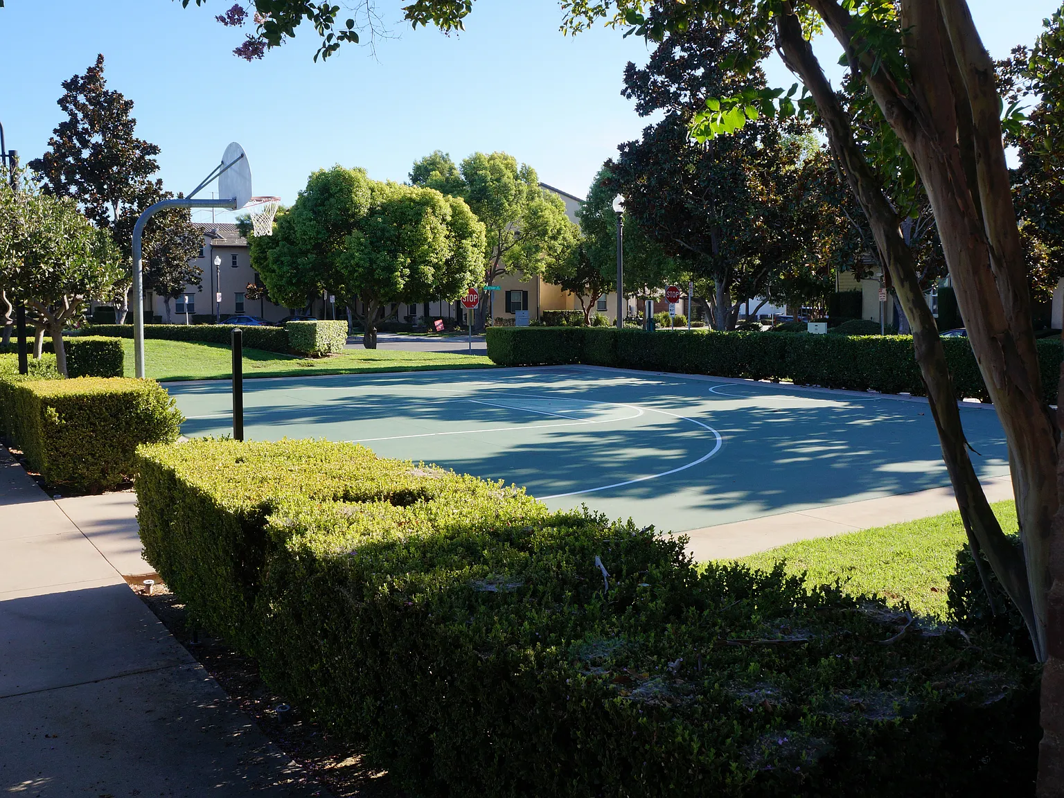 2 bed, 1477 sqft, $2,900 — Photo 4
