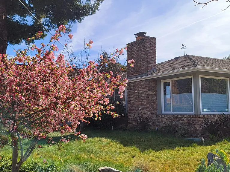 Front yard