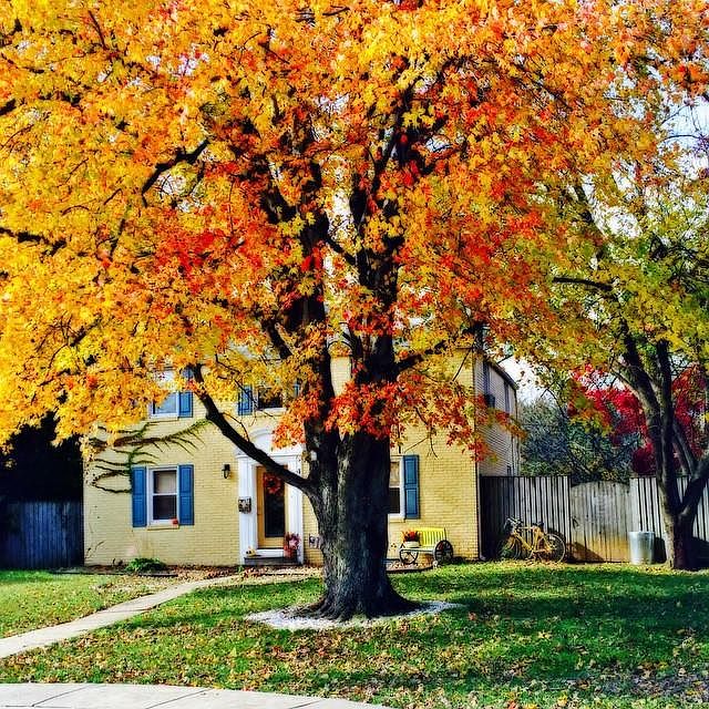 Beautiful North-Eastern Home