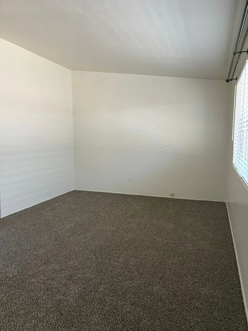 2935p -805- 944 Princeton Ave. NB — Photo 3