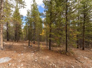 10th, Alma, CO 80420