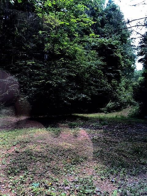 2nd image of 291 Palisade Way