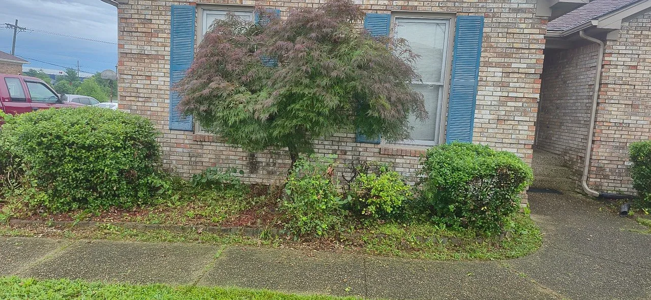 3 bed, 2600 sqft, $2,000 — Photo 4