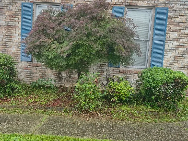 406 Old Towne Rd — Photo 4