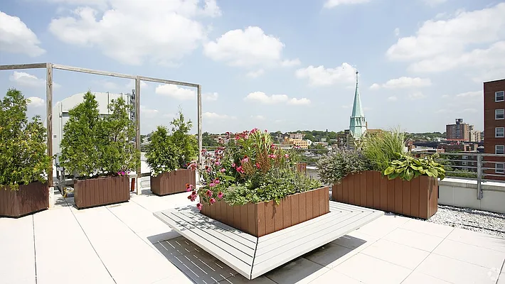 Rented by The Dermot Realty Management Company | media 36