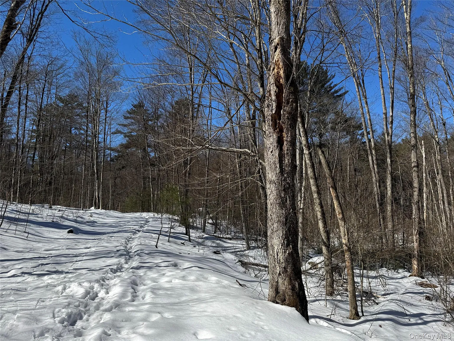 Lot 32 Woodstone Trail photo 1