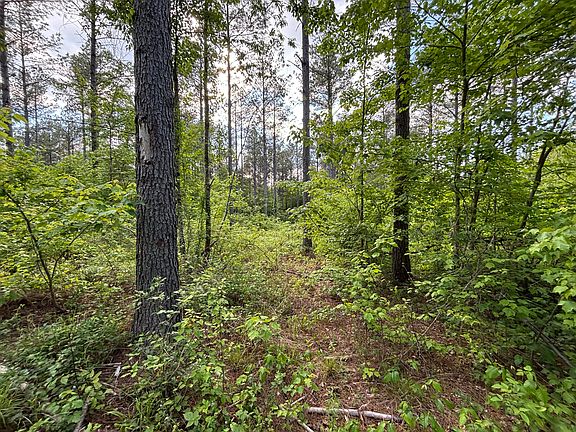 2nd image of 82 Bennie Camp Rd