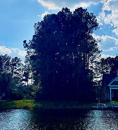 Afternoon View from Water