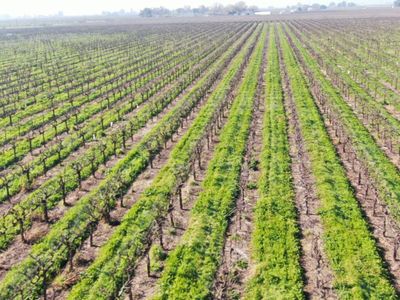3409 W Woodbridge Rd, Lodi, CA, 95242