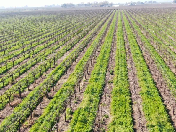 3409 W Woodbridge Rd, Lodi, CA 95242