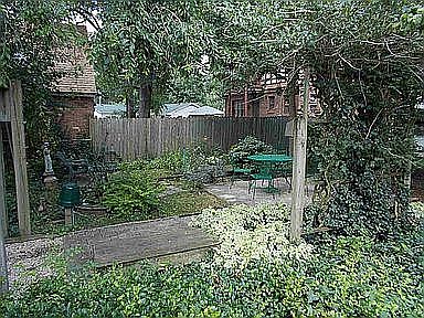 Back Patio