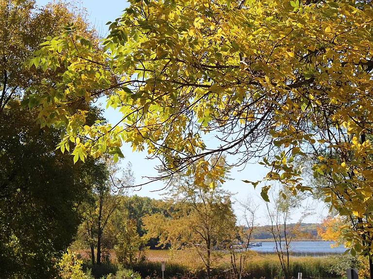 Right across the street from beautiful Eagle Lake