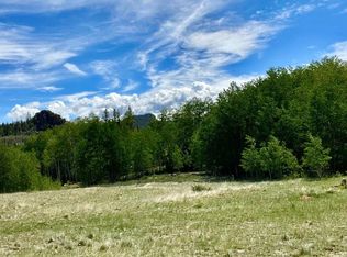 3466 Stagestop Rd, Jefferson, CO 80456