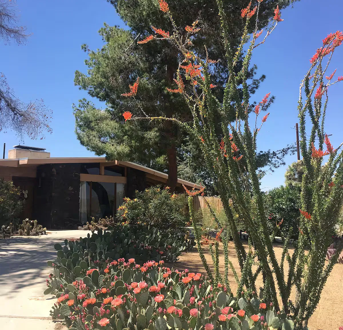 El Cajon Dr, Joshua Tree — Photo 2