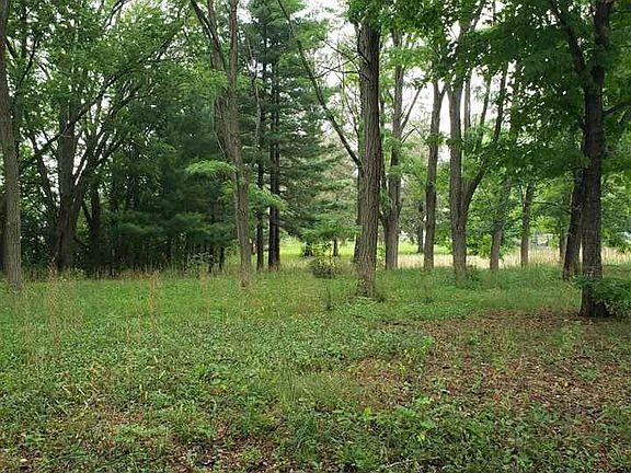 4th image of 2384 Bonnie Dr