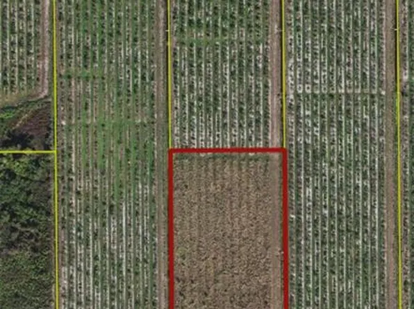 NE HWY 70, ARCADIA, FL 34266