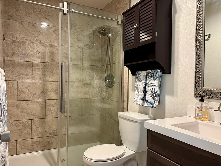 Hall Bathroom recently remodeled