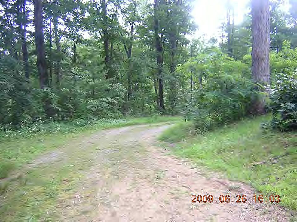 2nd image of 186 Alva Lyons Rd