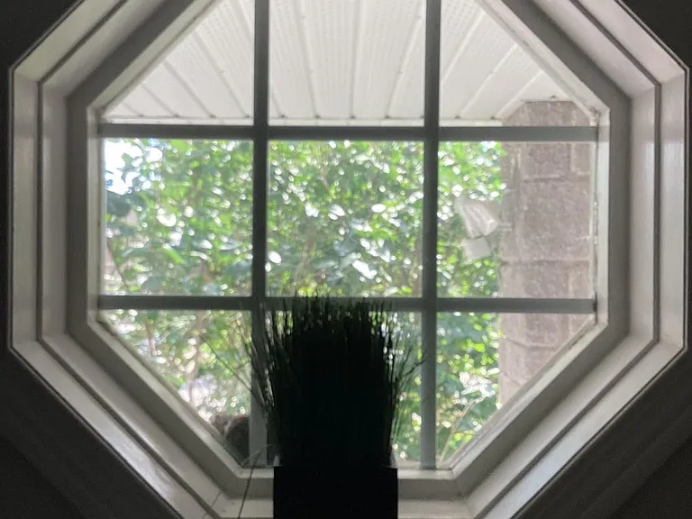 72 Adams St #UPPER — Photo 12