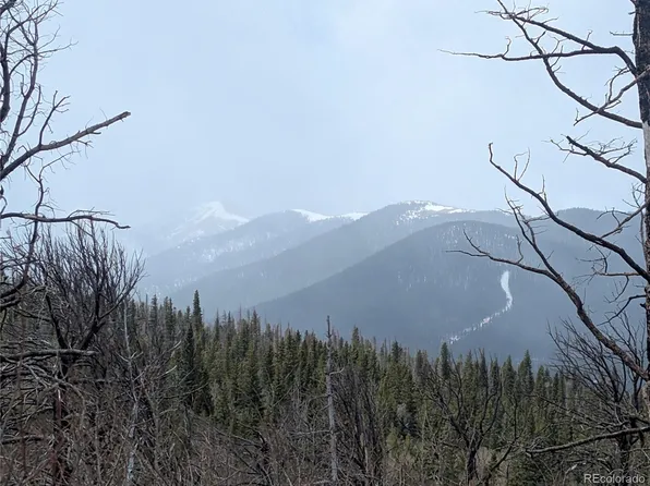 2749 Grojean Drive, Fort Garland, CO 81133