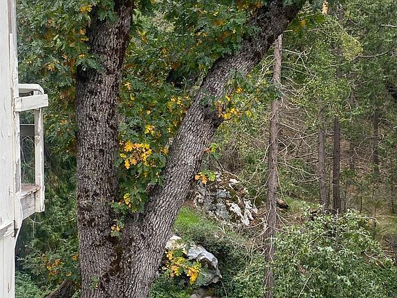 5th image of 44361 Old Stage Rd