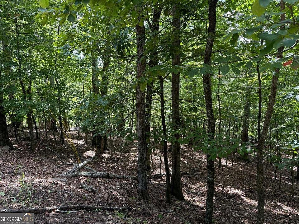 1st image of 117 Tulip Tree Ct
